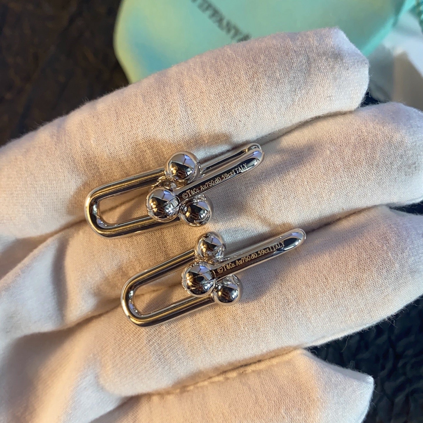 [Loco ] TF U-shaped earrings